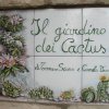 a giardino dei cactus 159